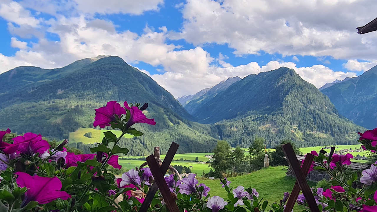 Ausblick Hotel Gasthof Abelhof