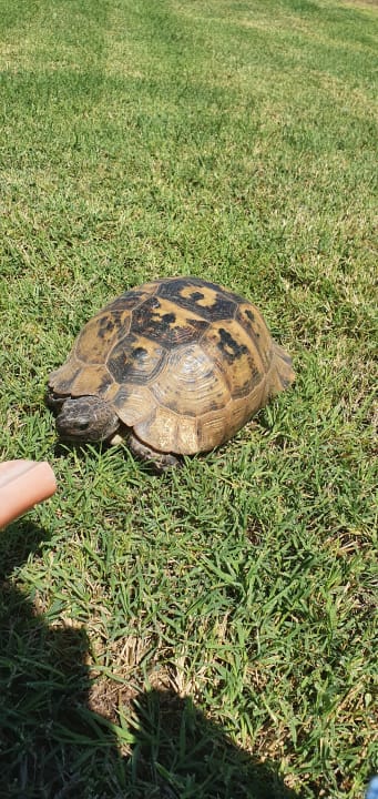 Strand Diamond Premium Hotel & Spa