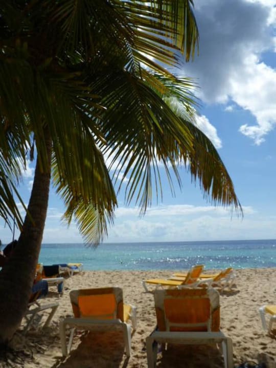 Strand Hotel Viva Dominicus Palace by Wyndham-All Inclusive Resort