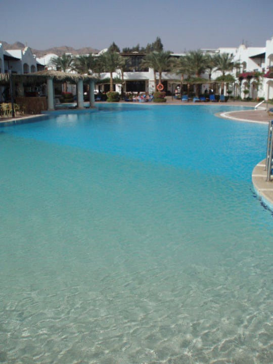 Großer Pool mit Poolbar JAZ Dahabeya