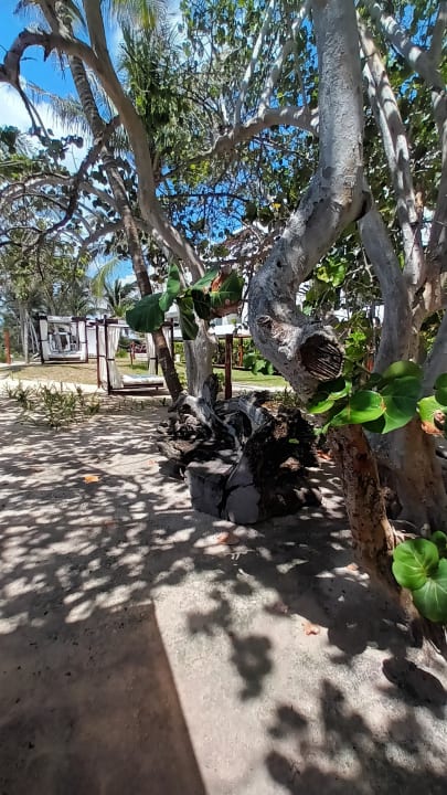 Gartenanlage Akumal Bay Beach & Wellness Resort