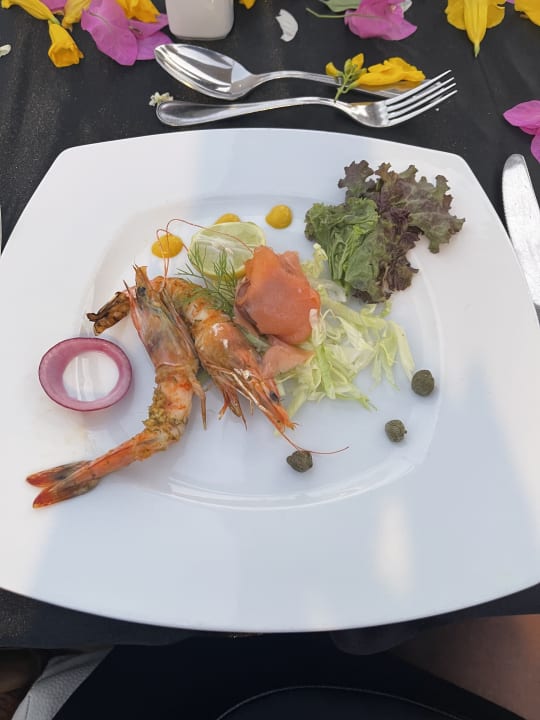 Gastro Shams Prestige Abu Soma-Adults Only