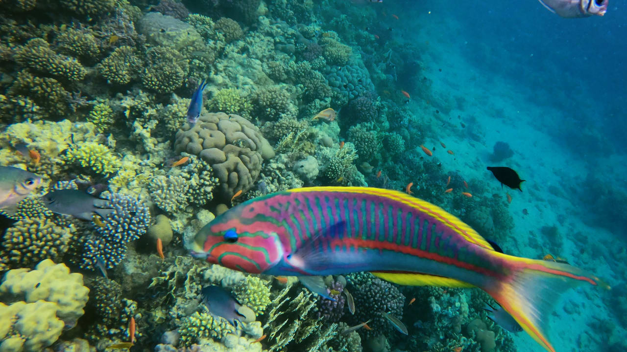 Sport & Freizeit Makadi Spa - Adults only