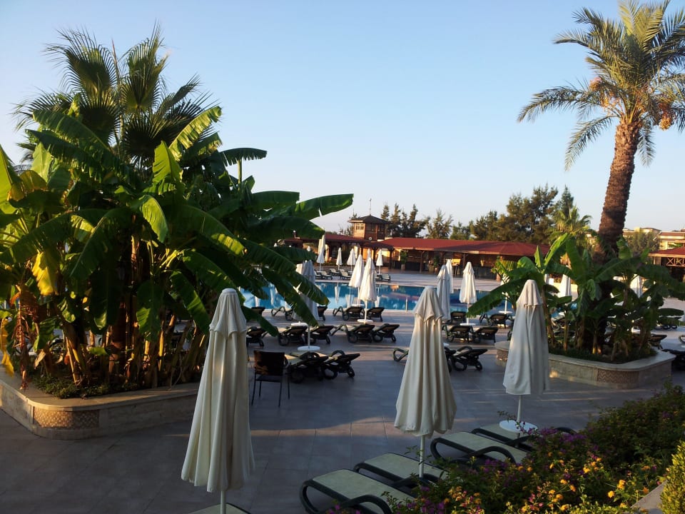 Am Morgen Crystal Paraiso Aqua Collection