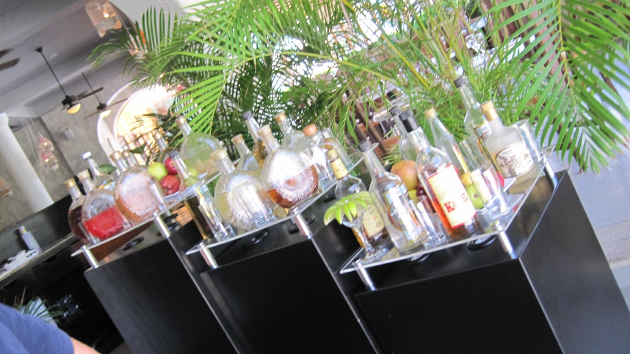 Cocktails im Festival Sandos Playacar Beach Resort