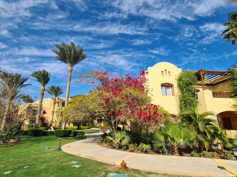 Gartenanlage Steigenberger Coraya Beach - Adults only