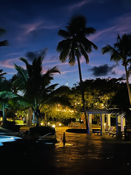 Ausblick Dreams La Romana Resort & Spa