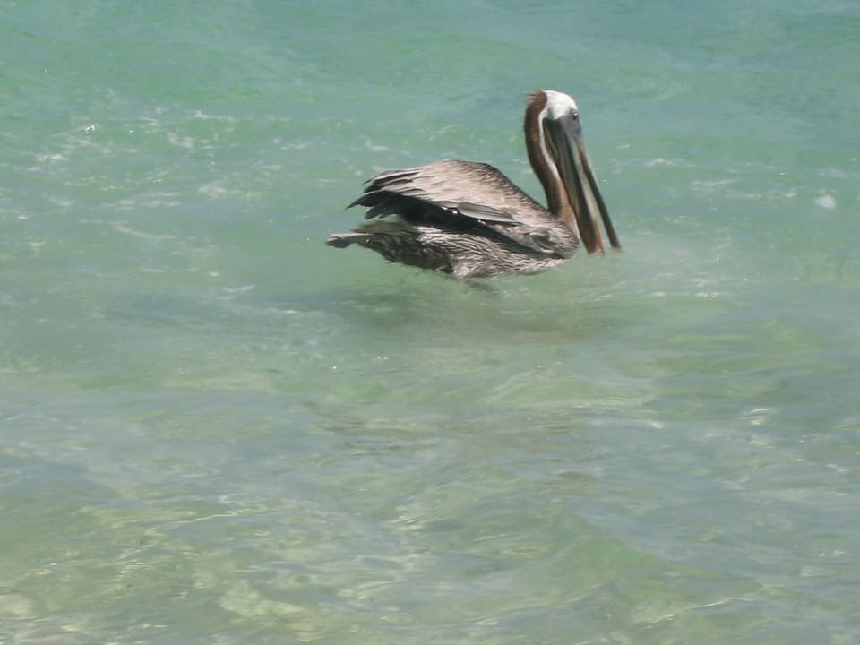 Strand Villas Bavaro Resort & Spa