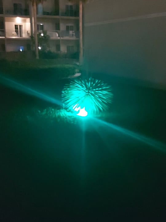 Sonstiges Delfina Tropic Beach