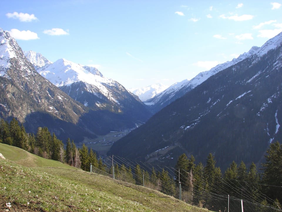 Pension Wiesenhof Wiesenhof