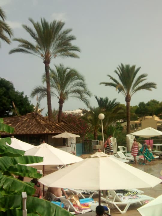 Pool HSM Canarios Park