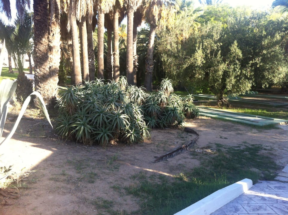 Ungepflegte Gartenanlage! Hotel Marhaba Club