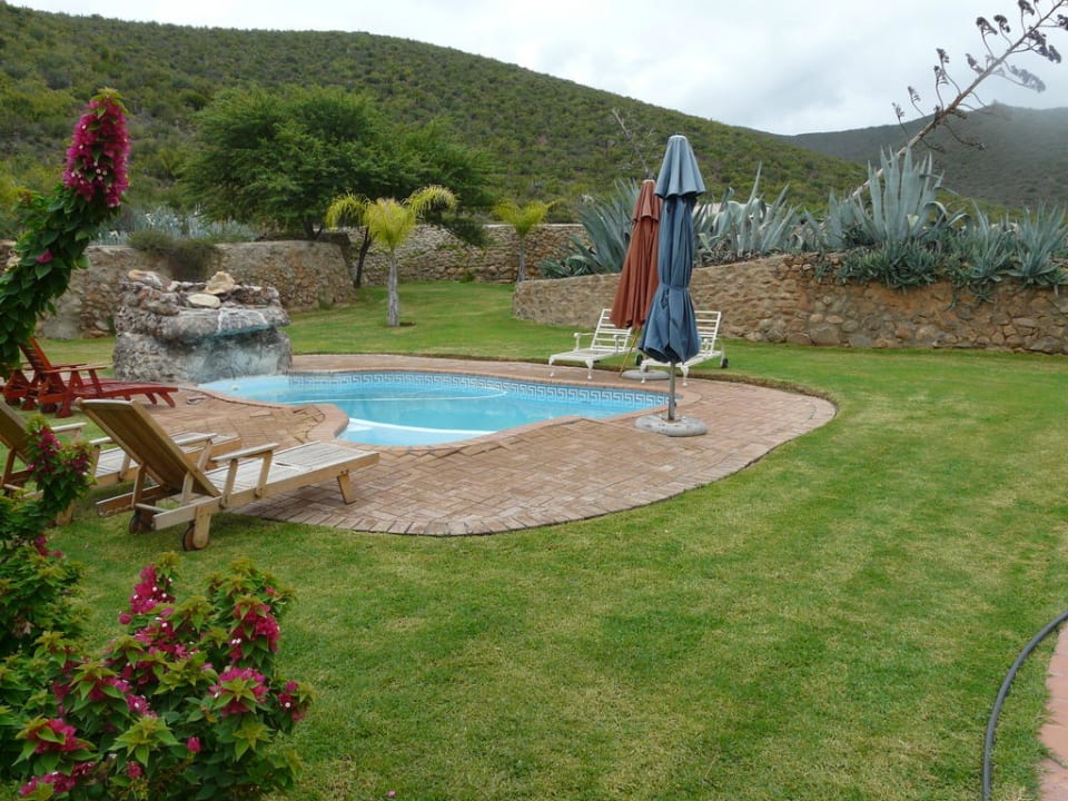 Kleiner Gartenpool Montana Guestfarm