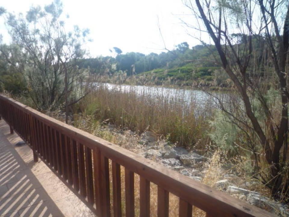 Neben den Weg zum Strand ein Fluss Hotel Exagon Park