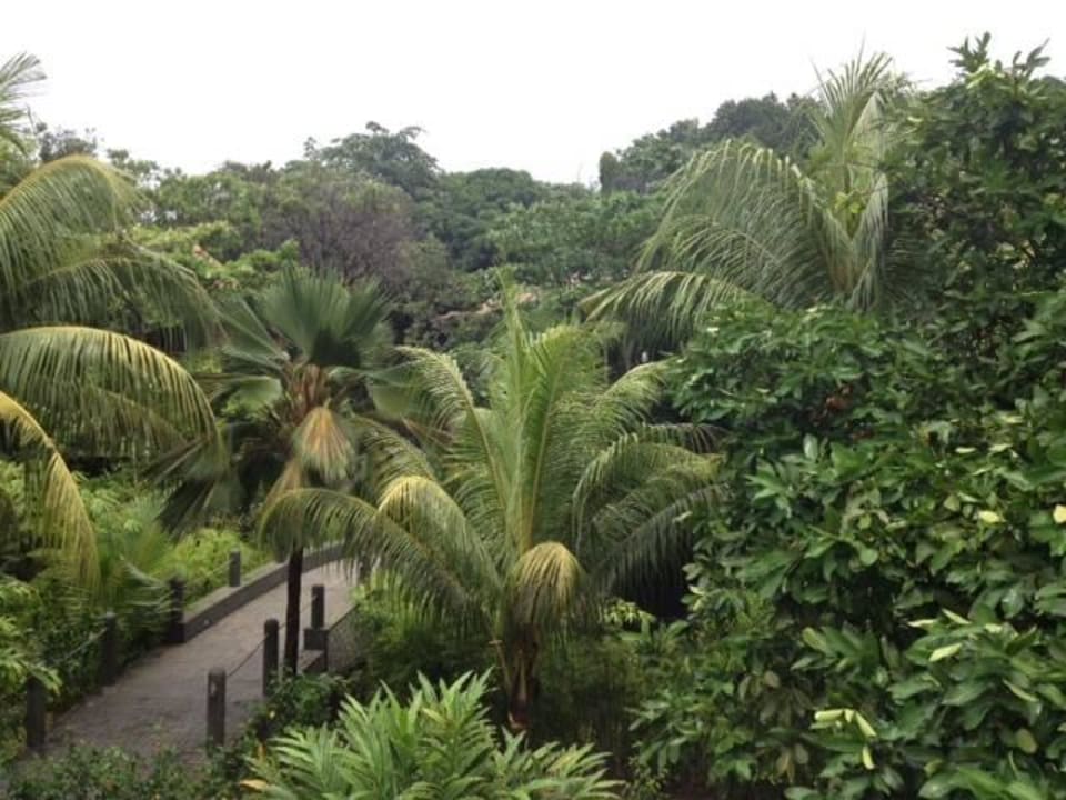 Aussicht  Le Domaine de l'Orangeraie