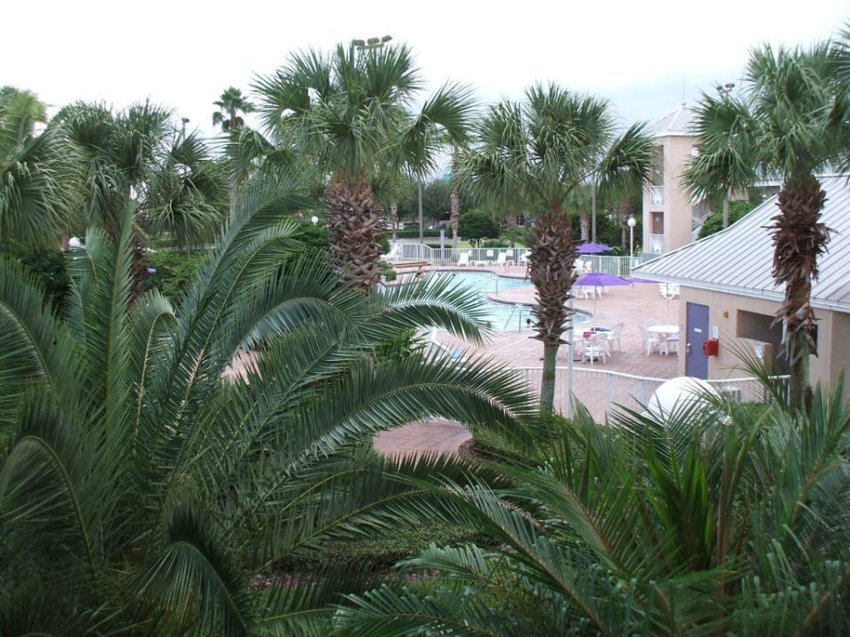 Blick zum Pool Clarion Suites Maingate Resort