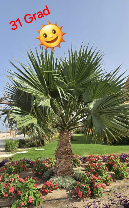 Außenansicht Novotel Marsa Alam Beach Resort