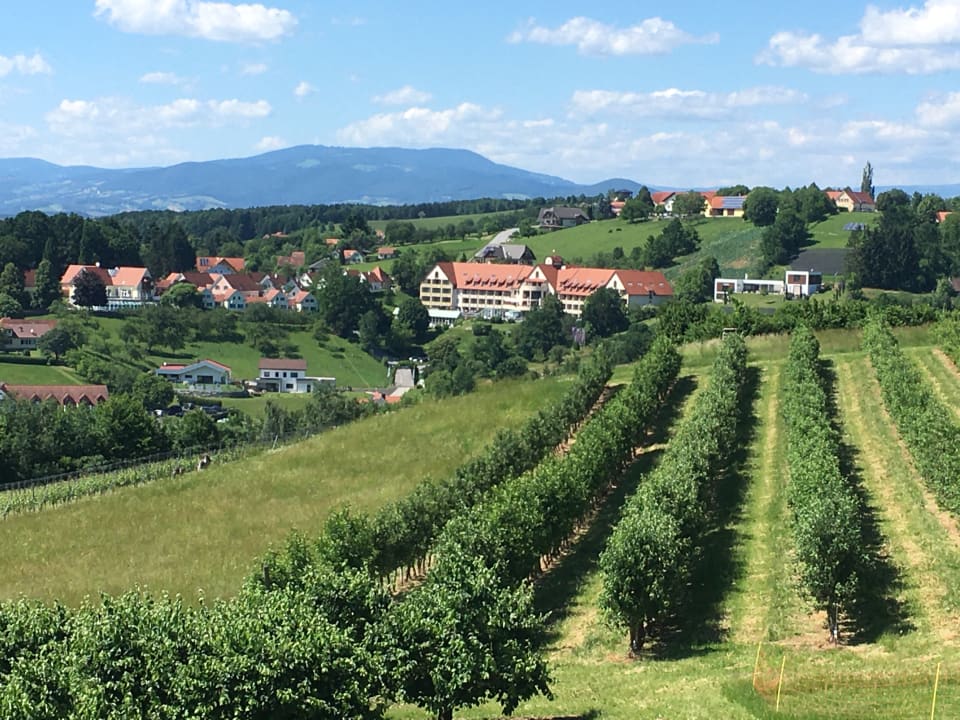 Ausblick Wilfinger Bio Thermen Hotel