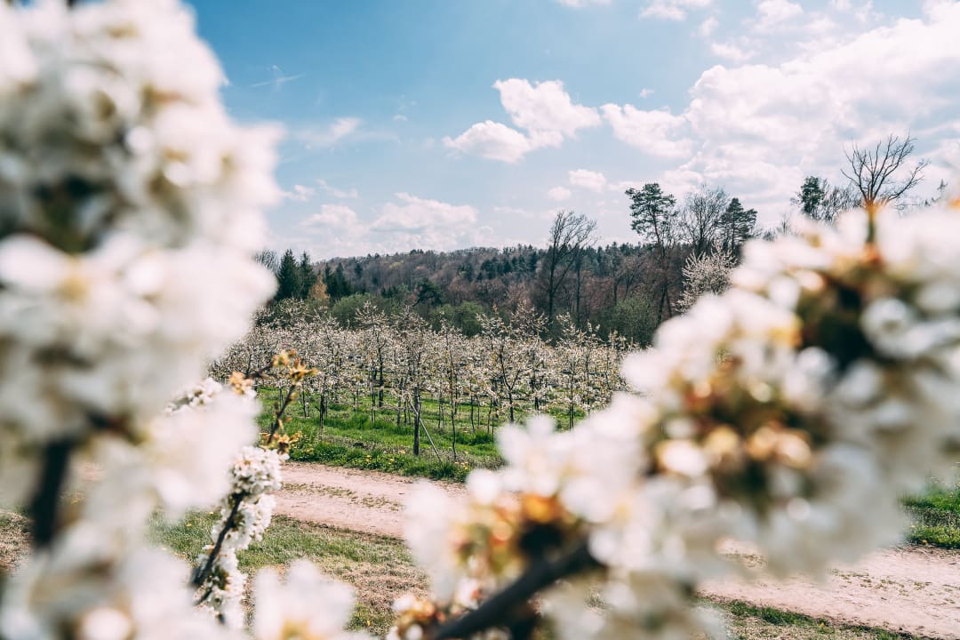 Gartenanlage Gut Hügle Erlebnisbauernhof