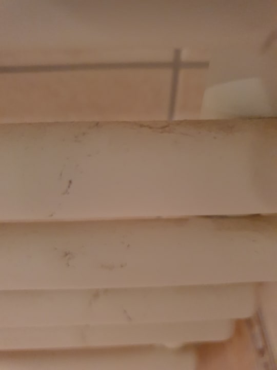 Zimmer Seehotel Schloss Klink