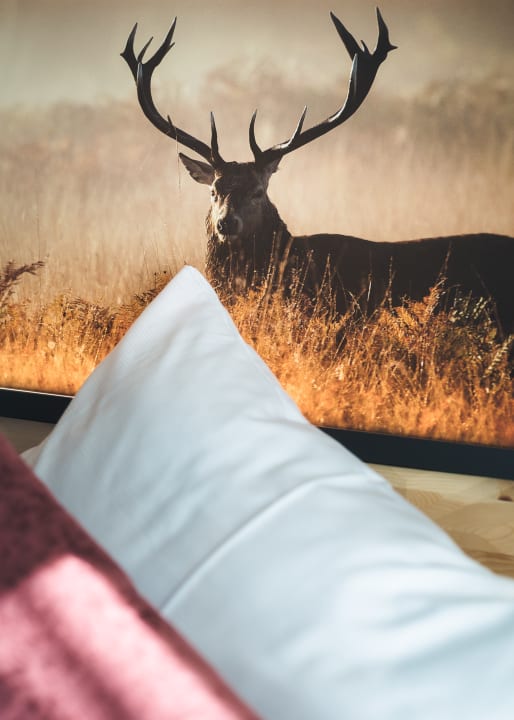 Zimmer Apart- Hotel Sonnhof Royal