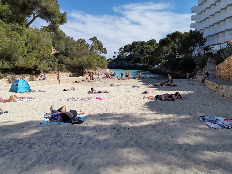 Strand Calimera Fido Gardens