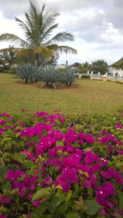 Der Garten ist ein botanisches Erlebnis Royal Zanzibar Beach Resort