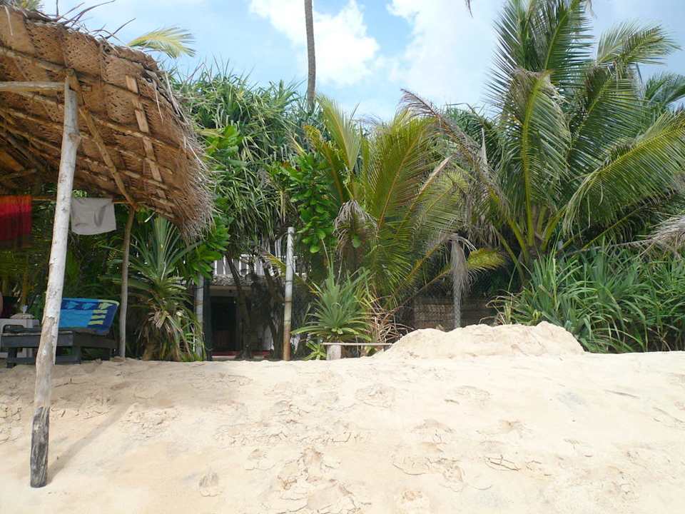 Blick vom Meer Hotel Haus am Meer Wilde Ananas