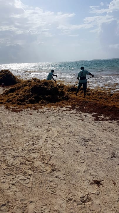 Strand Akumal Bay Beach & Wellness Resort