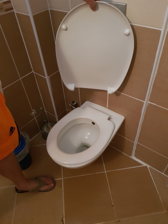 Zimmer Hotel Catty Cats Garden