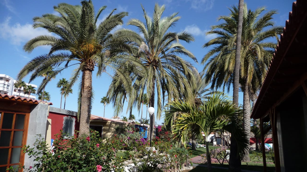 Blick von unserer Terrasse HL Miraflor Suites Hotel