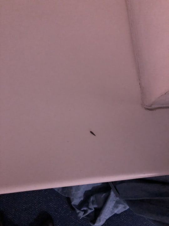 Zimmer Hotel am Fischereihafen