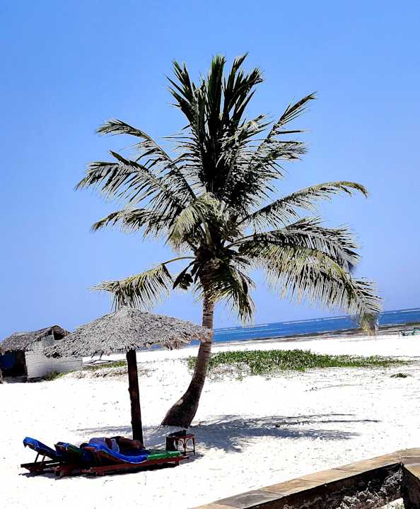 Strand Neptune Paradise Beach Resort & Spa