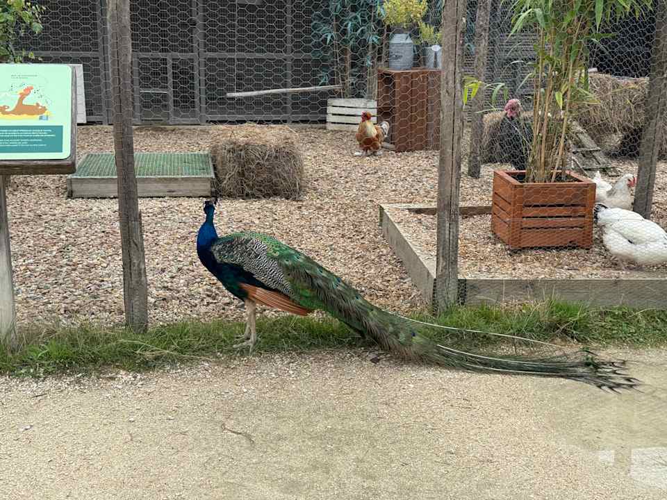 Sport & Freizeit Villages Nature Paris