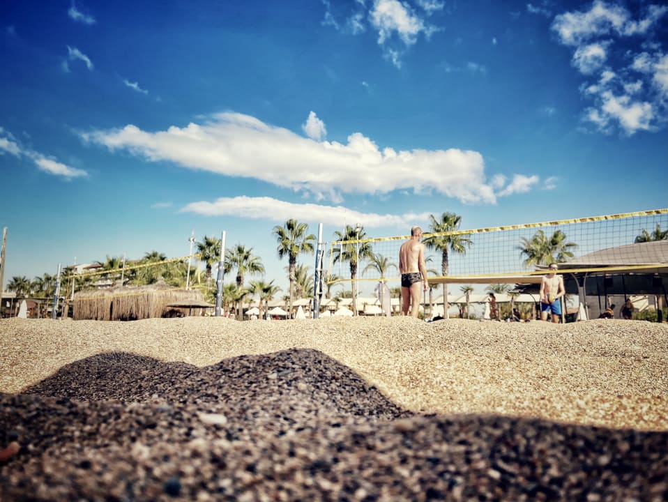 Sport & Freizeit TUI BLUE Palm Garden