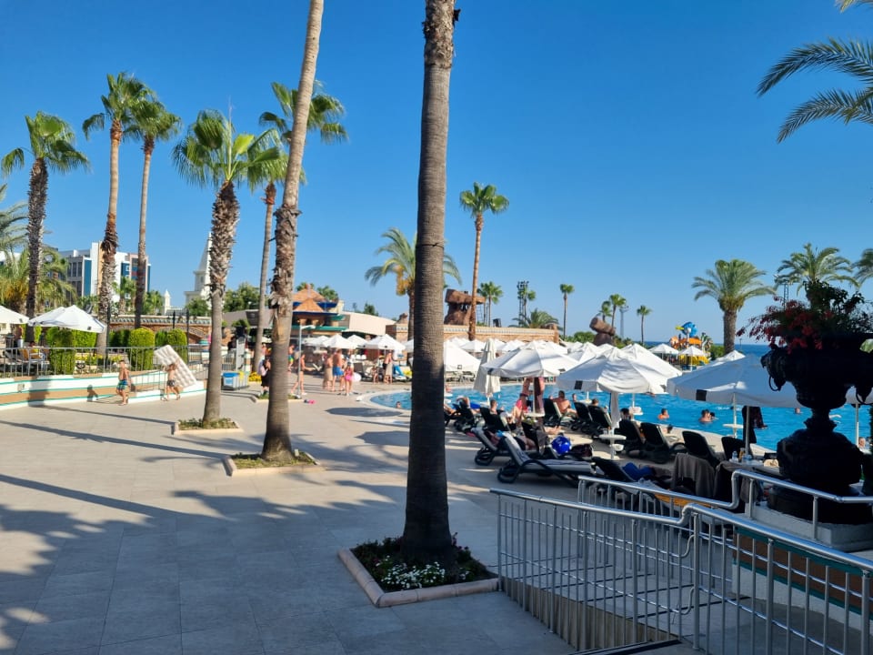 Pool Kamelya Aishen Club