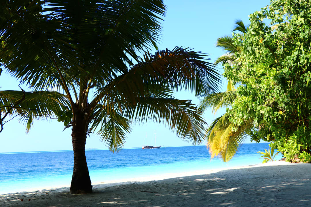 Strand Vilamendhoo Island Resort & Spa