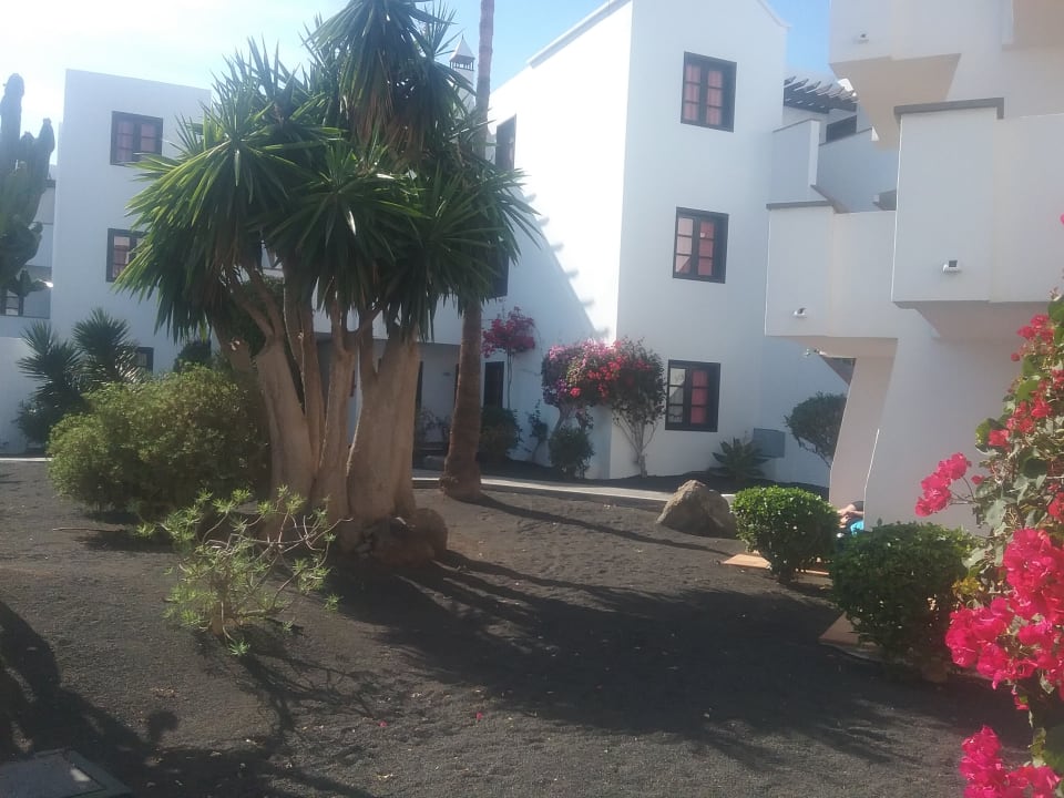 Blick von Terrasse allsun App.-Hotel Albatros