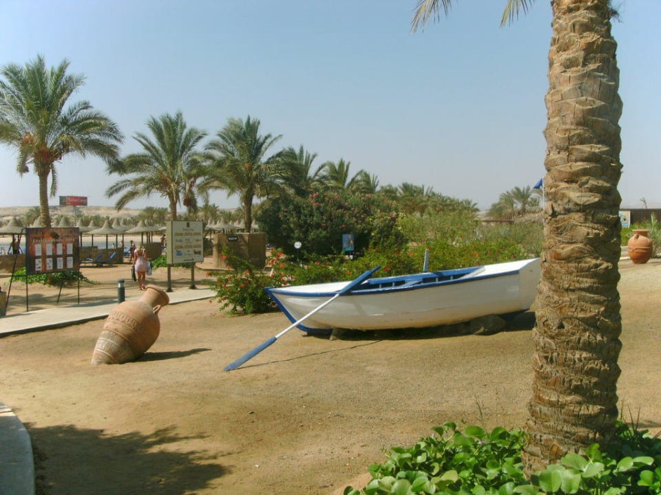 Tolle Motive für Fotos Steigenberger Coraya Beach - Adults only