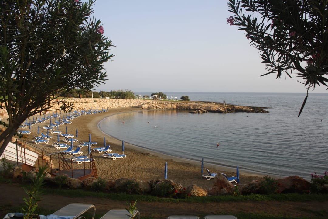 Blick auf Strand Crystal Springs Beach Hotel