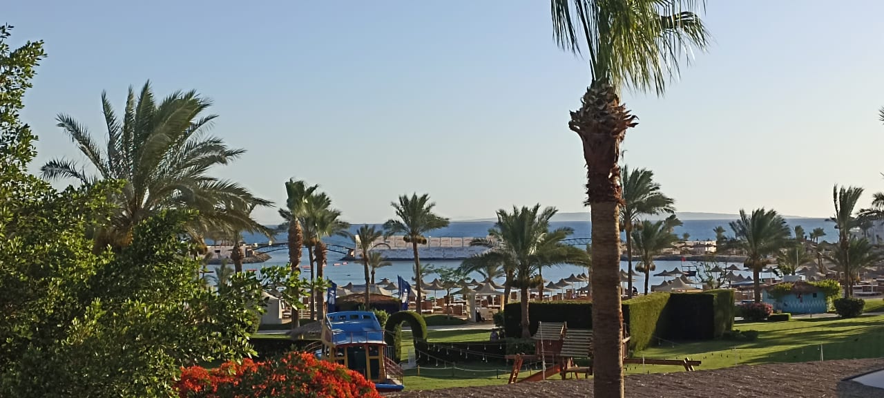 Ausblick Desert Rose