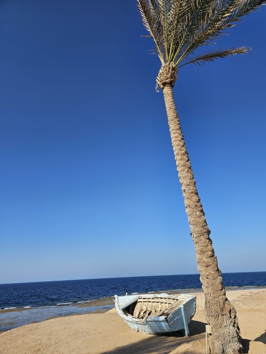 Strand Steigenberger Resort Alaya Marsa Alam - Red Sea - Adults only