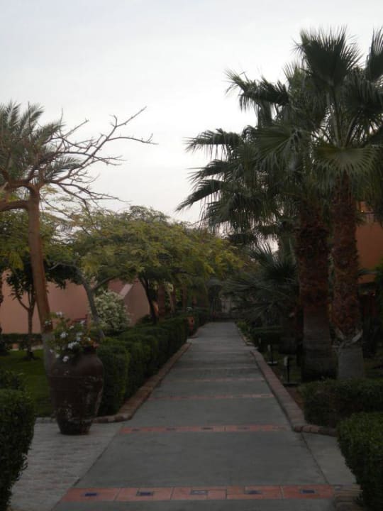 Gartenanlage Jaz Makadi Oasis Resort
