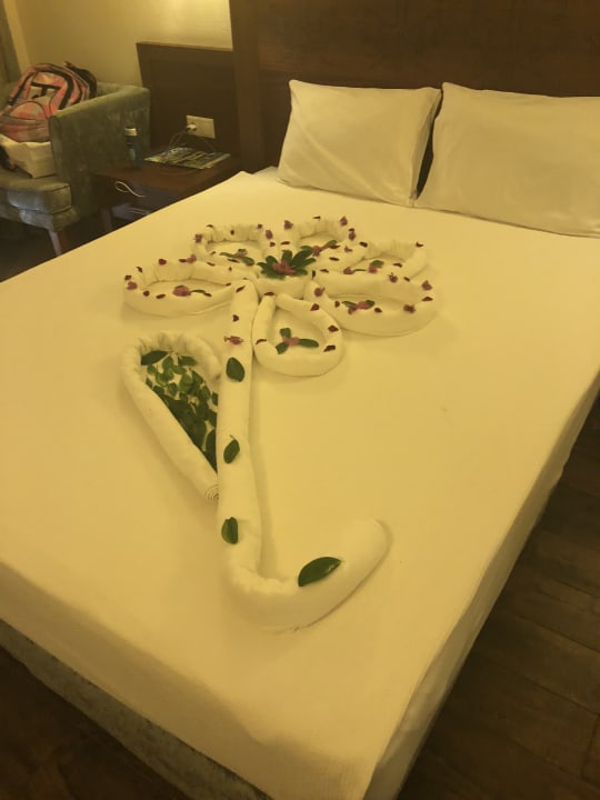 Zimmer Vita Silva Hotel