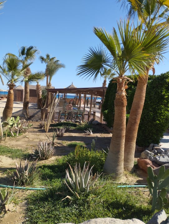 Gartenanlage Shams Safaga Resort