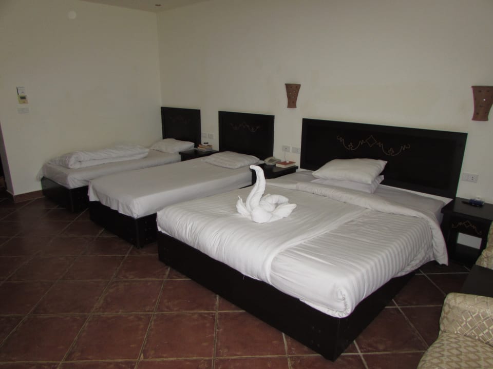 Zimmer Three Corners Sea Beach Resort