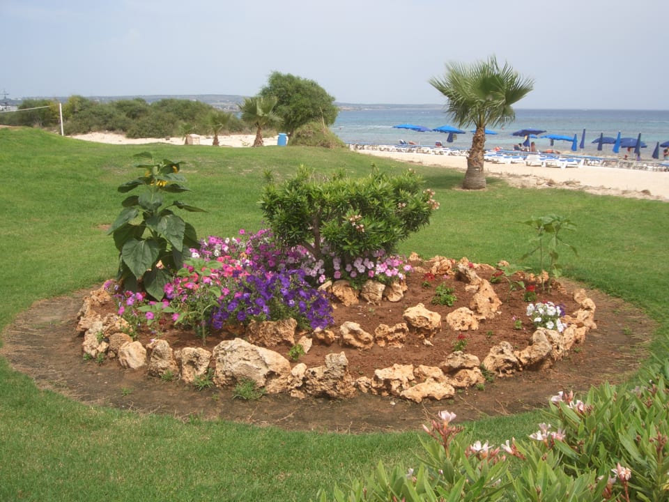 Gartenanlage Asterias Beach