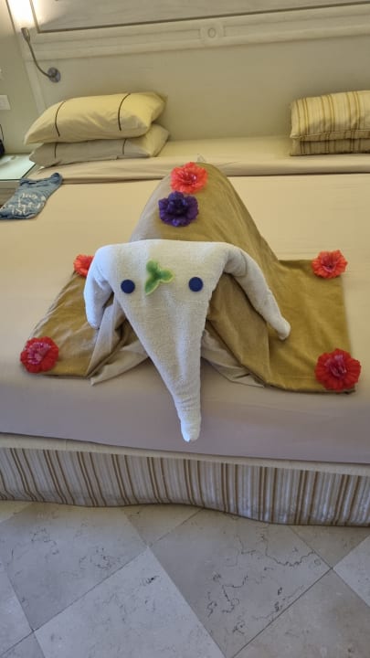 Zimmer Makadi Spa - Adults only