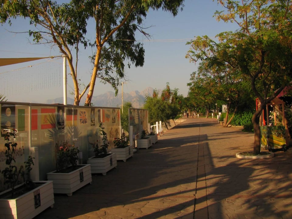 Дорога на пляж Hotel Özkaymak Falez