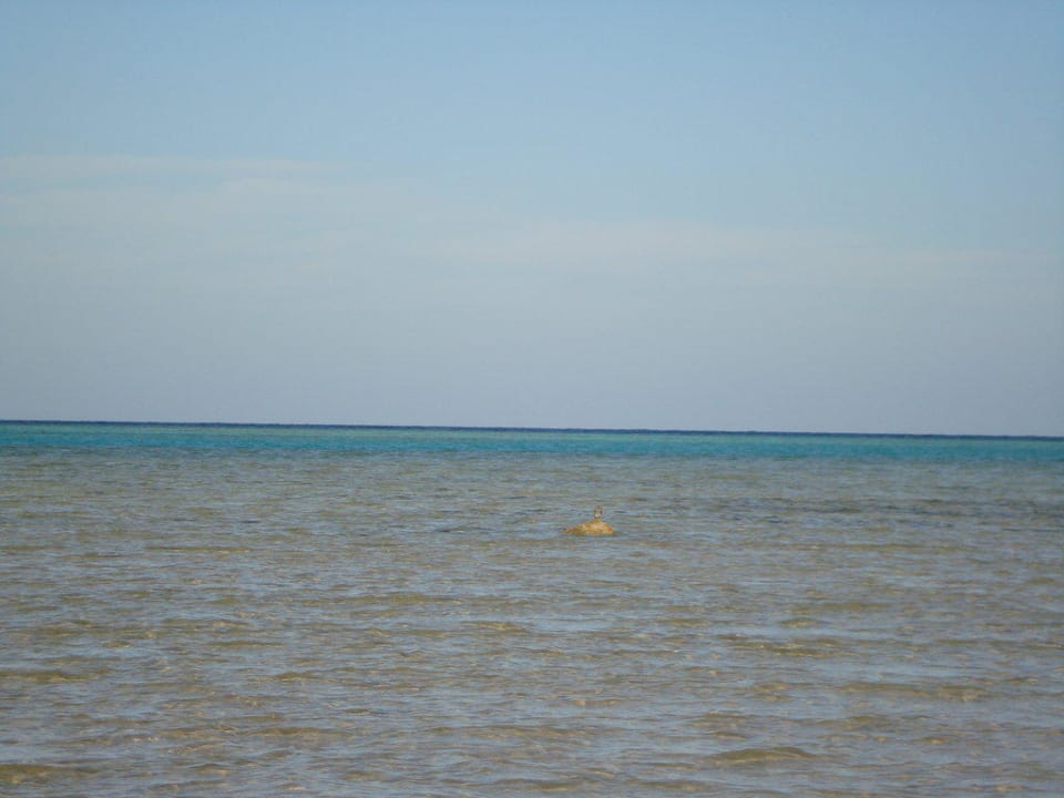 Море Stella Garden Resort & Spa, Makadi Bay